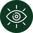 shared vision (3)